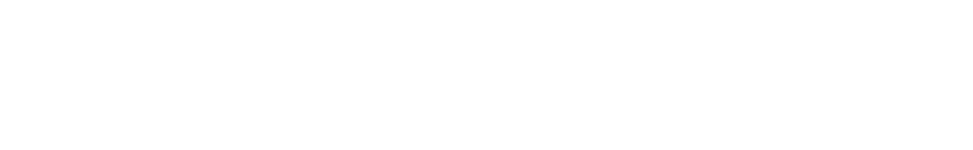 WordMark_White
