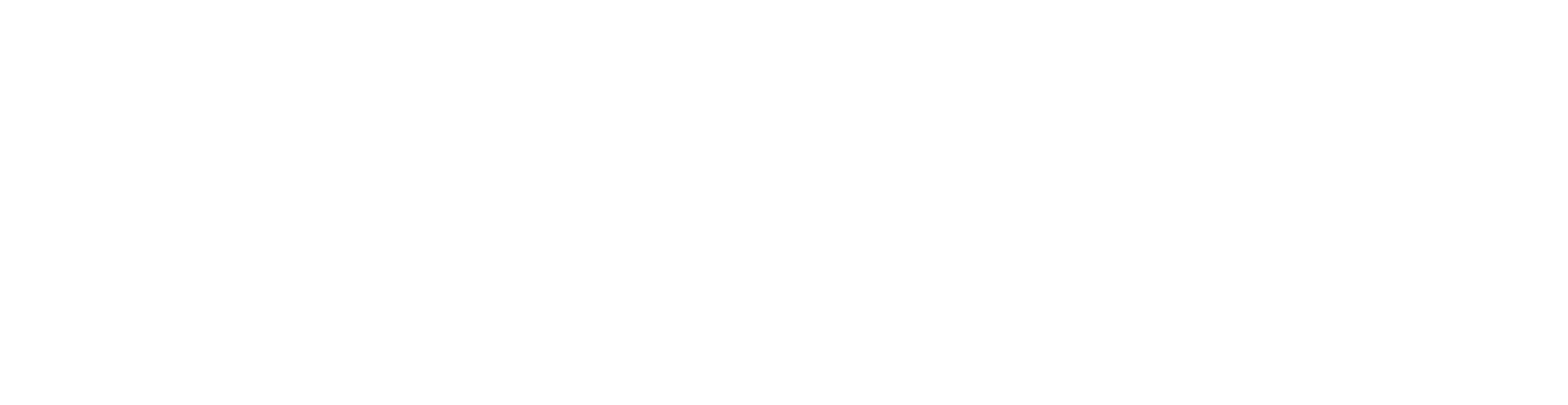 toast-logo_blanc
