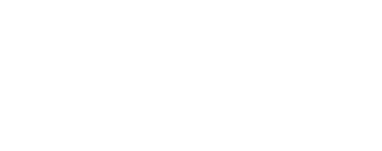 libro white logo